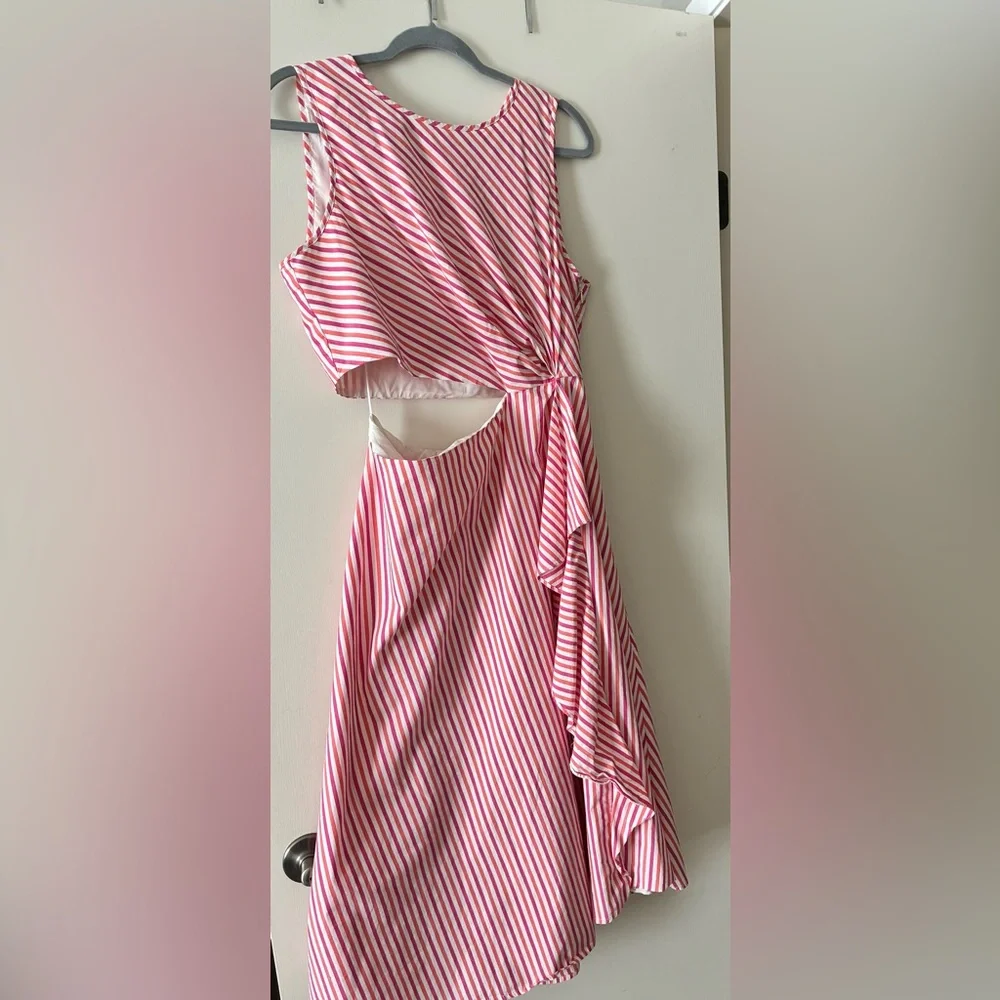 J. Crew Pink and White Striped Collection Dress - Picture 3 of 8